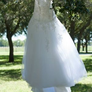Wedding Dress + Veil